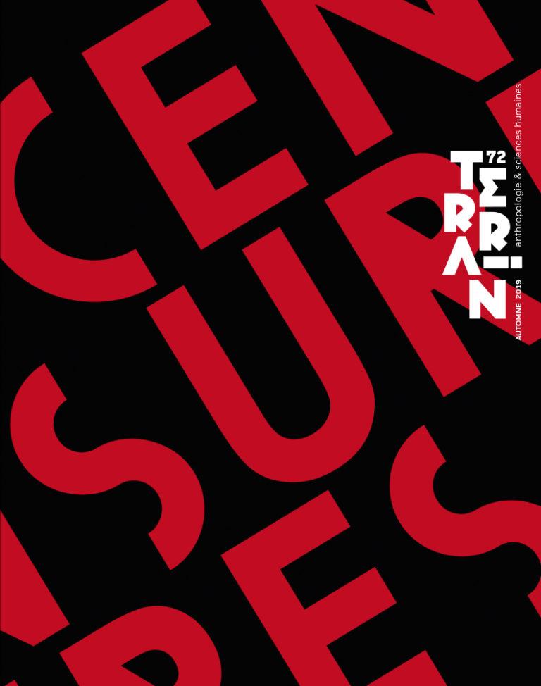 Special Issue of Terrain